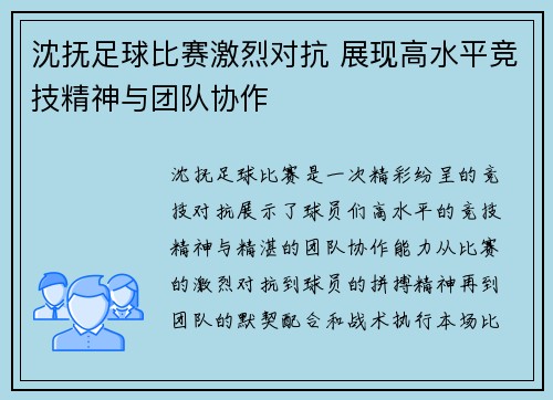 沈抚足球比赛激烈对抗 展现高水平竞技精神与团队协作