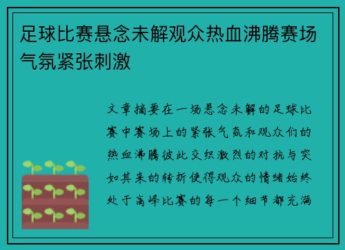 足球比赛悬念未解观众热血沸腾赛场气氛紧张刺激