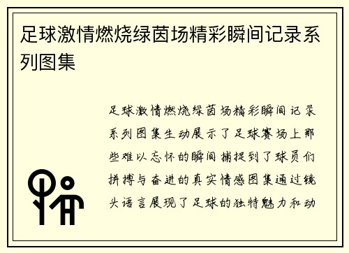 足球激情燃烧绿茵场精彩瞬间记录系列图集