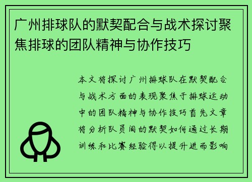 广州排球队的默契配合与战术探讨聚焦排球的团队精神与协作技巧